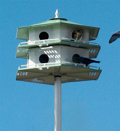 metal martin houses|white martin house with pole.